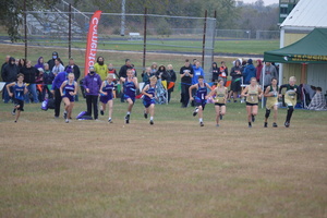 NCMS Cross Country Ends Season at Jackson Heights