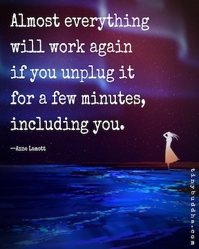Almost everything will work again if you unplug it for a few minutes, including you. Anne Lamott